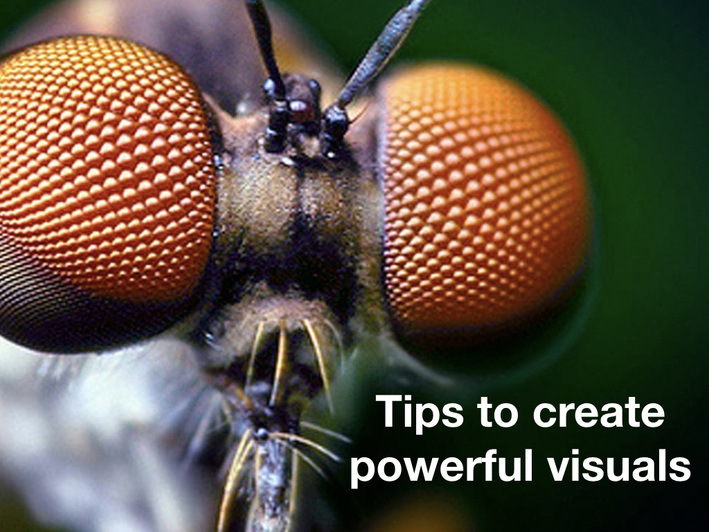 Lesson 5: What I learned about teaching from Madeline&nbsp;Hunter?