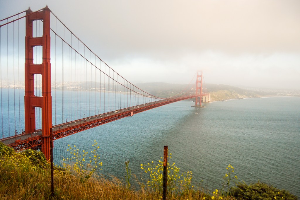 The Federal Bridge: Why Neither Red nor Blue State Models Can Stand Alone in Public Education