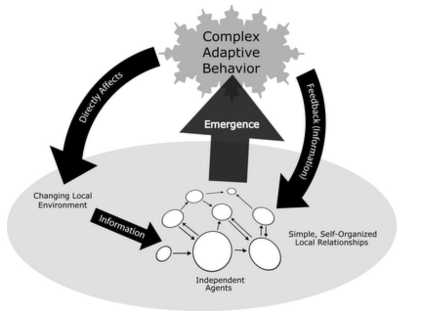 The Fallacy of Single-Metric Evaluation: Education is a Complex Adaptive&nbsp;System